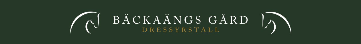 Backaängs Gård